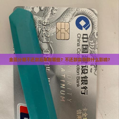 金瀛分期不还款后果有哪些