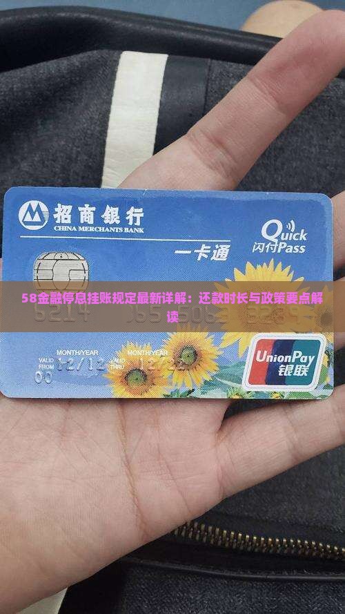 58金融停息挂账规定最新详解：还款时长与政策要点解读