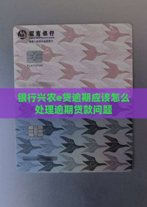 银行兴农e贷逾期应该怎么处理逾期贷款问题