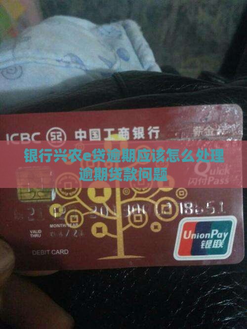 银行兴农e贷逾期应该怎么处理逾期贷款问题