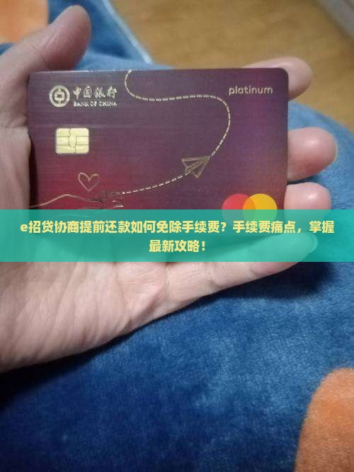 e招贷协商提前还款如何免除手续费？手续费痛点，掌握最新攻略！