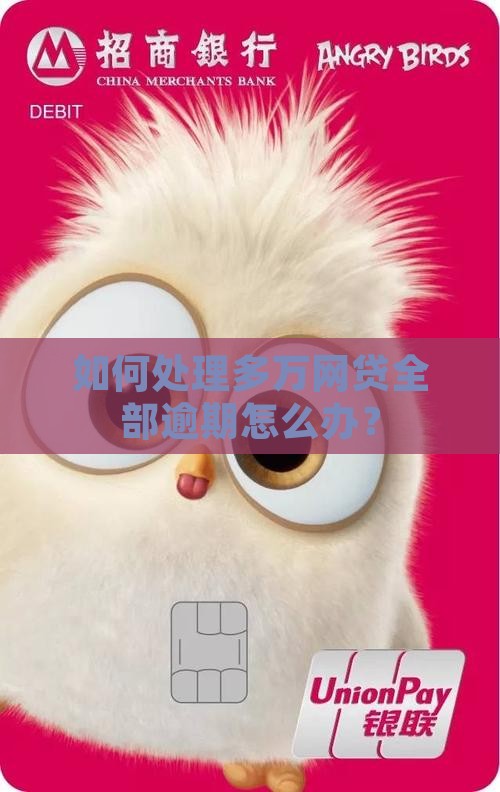 如何处理多万网贷全部逾期怎么办？