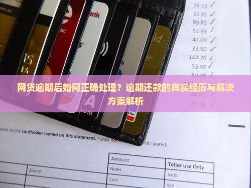网贷逾期后如何正确处理？逾期还款的真实经历与解决方案解析
