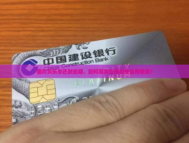 面对贝乐享还款逾期，如何高效处理避免信用受损？