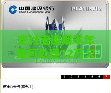 支付宝逾期半年如何处理12万欠款问题