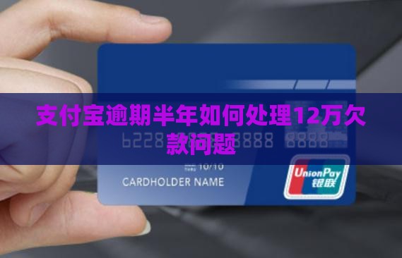 支付宝逾期半年如何处理12万欠款问题