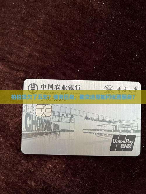 拍拍贷欠了五年？债务压身，助贷逾期如何优雅翻身？