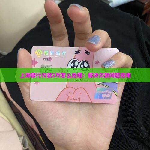 上海银行欠款2万怎么处理：解决欠款问题指南