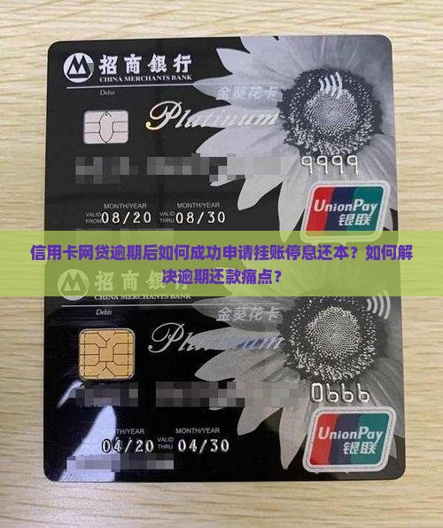 信用卡网贷逾期后如何成功申请挂账停息还本？如何解决逾期还款痛点？