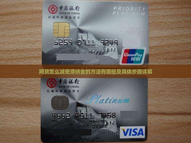 网贷怎么减免滞纳金的方法有哪些及具体步骤详解