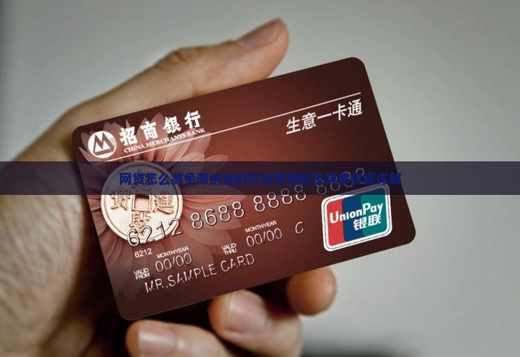 网贷怎么减免滞纳金的方法有哪些及具体步骤详解