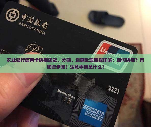 农业银行信用卡协商还款、分期、逾期处理流程详解：如何协商？有哪些步骤？注意事项是什么？