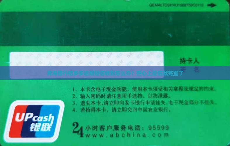 青海银行桔多多逾期短信收到怎么办？担心上征信就完蛋了