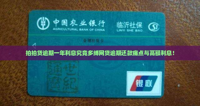 拍拍贷逾期一年利息究竟多缚网贷逾期还款痛点与高额利息！