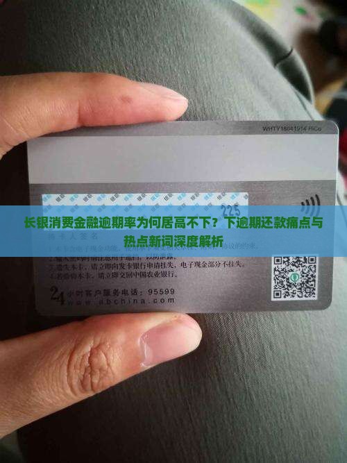 长银消费金融逾期率为何居高不下？下逾期还款痛点与热点新词深度解析