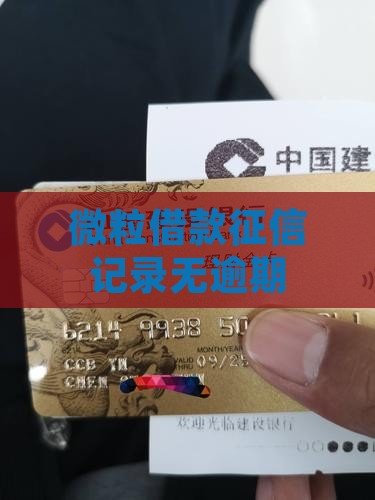 微粒借款征信记录无逾期