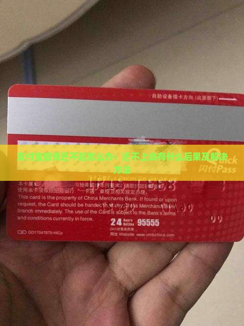 支付宝借贷还不起怎么办：还不上会有什么后果及解决方法