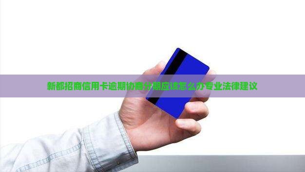 新都招商信用卡逾期协商分期应该怎么办专业法律建议