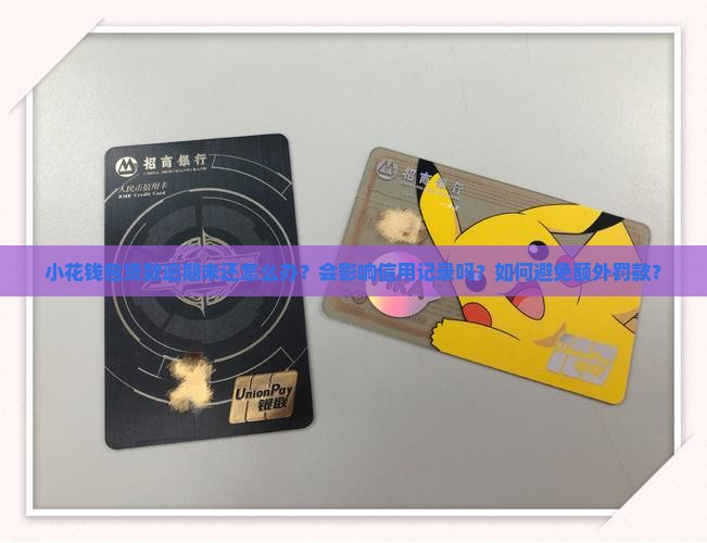 小花钱包贷款逾期未还怎么办？会影响信用记录吗？如何避免额外罚款？