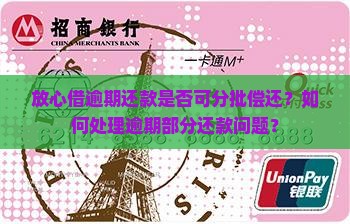 放心借逾期还款是否可分批偿还？如何处理逾期部分还款问题？