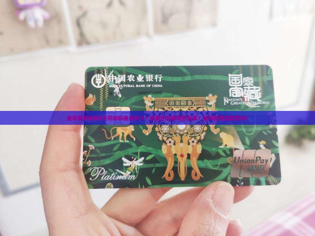 金农易贷逾期3天罚款标准是多少？逾期还款有哪些后果？如何避免逾期罚款？
