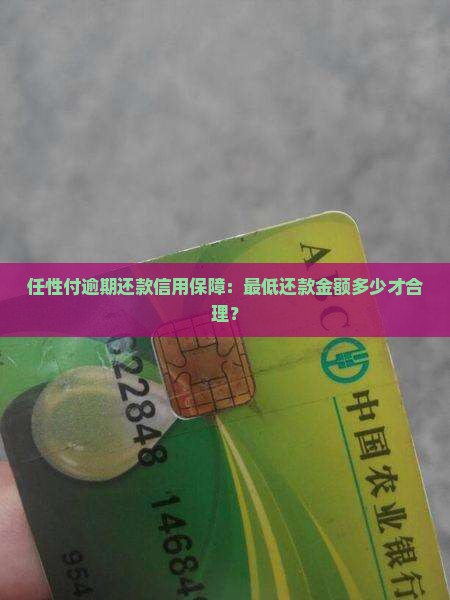 任性付逾期还款信用保障：最低还款金额多少才合理？