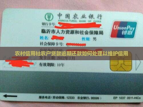 农村信用社农户贷款逾期还款如何处理以维护信用