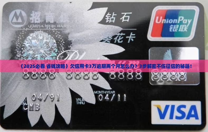 欠信用卡3万逾期两个月如何解决