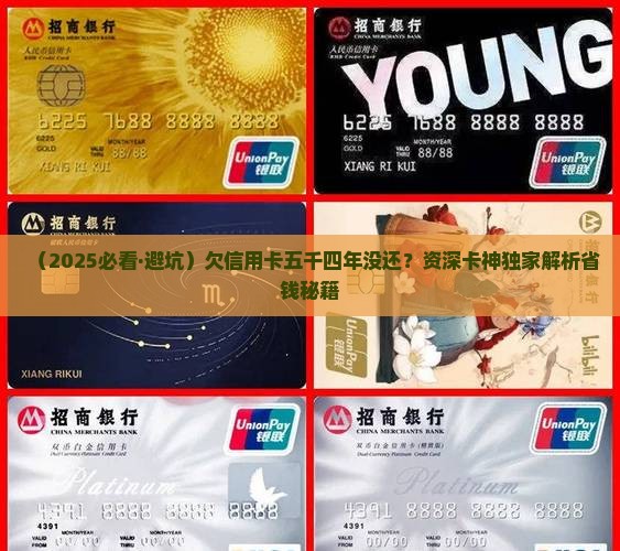 欠信用卡五千四年没还