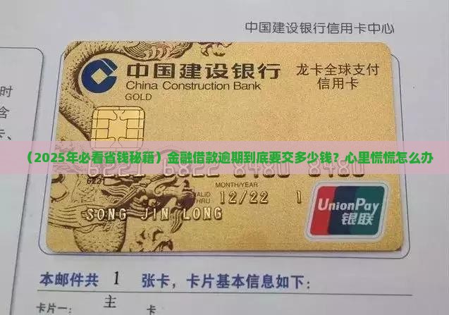 金融借款逾期费用标准