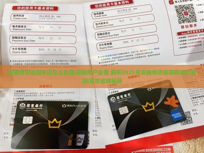 安鑫快贷逾期未还怎么处理