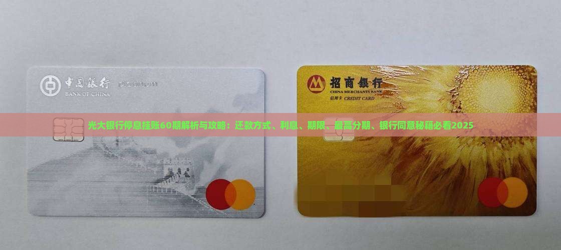光大银行停息挂账60期