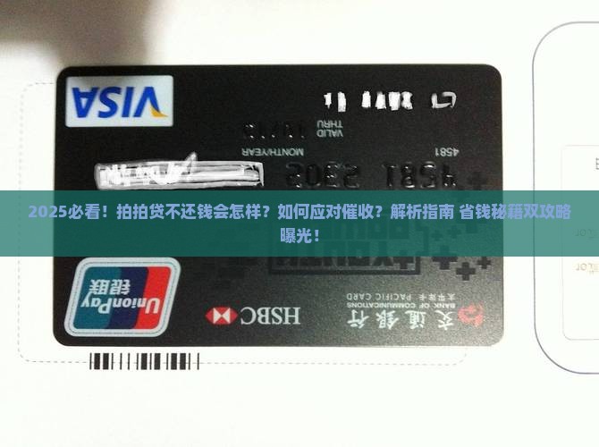 有不还拍拍贷钱的方法吗