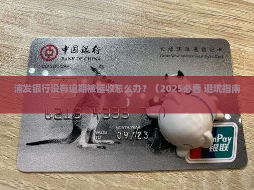 浦发银行没有逾期被催收怎么办