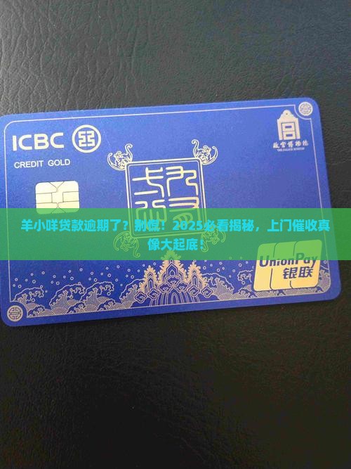 羊小咩贷款逾期会上门催收吗