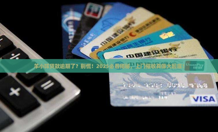 羊小咩贷款逾期会上门催收吗