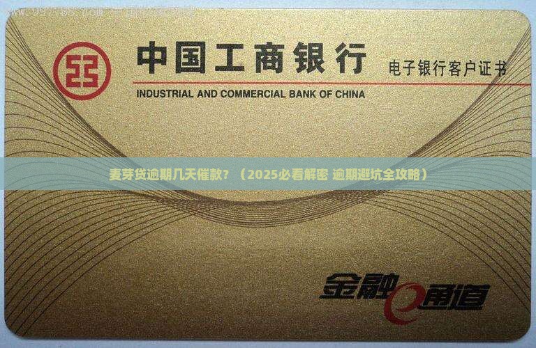 麦芽贷逾期几天催款