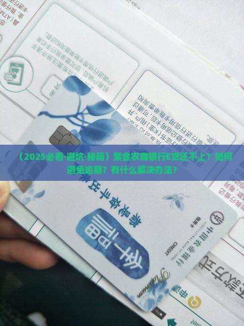 紫金农商银行E贷无力偿还怎么办