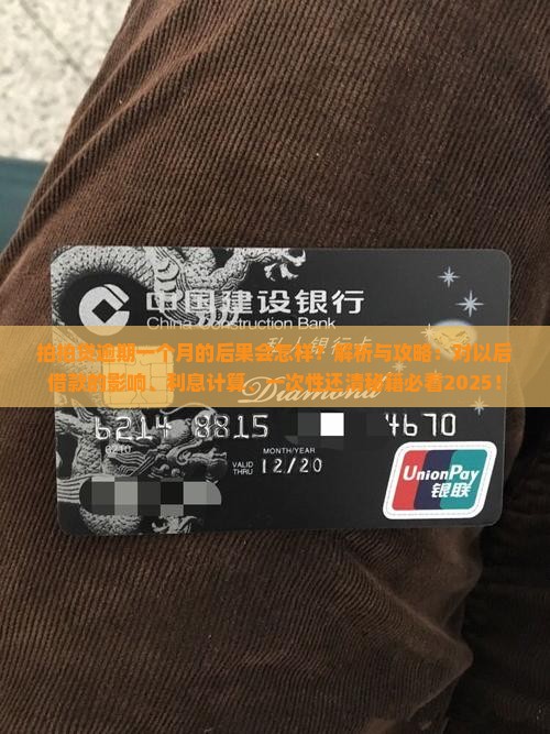 拍拍贷逾期一个月的后果会怎样