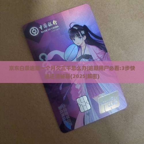 京东白条逾期一个月欠三千怎么办