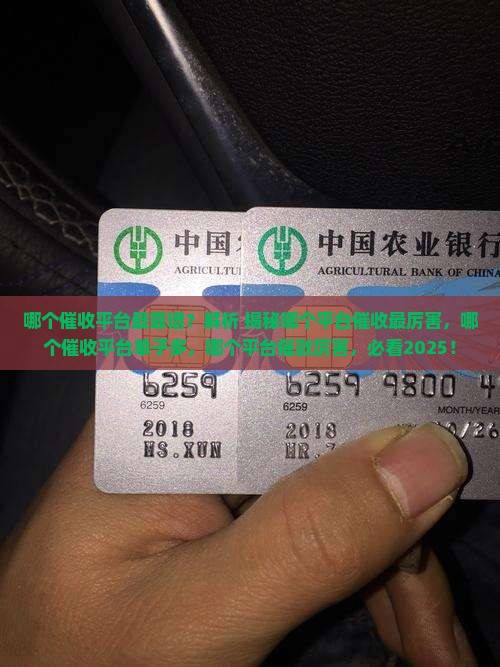 哪个催收平台最靠谱