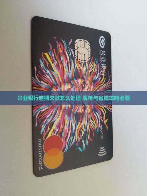 兴贷欠款如何处理