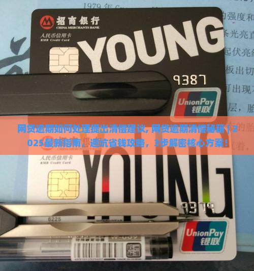 网贷逾期如何处理提出清偿建议