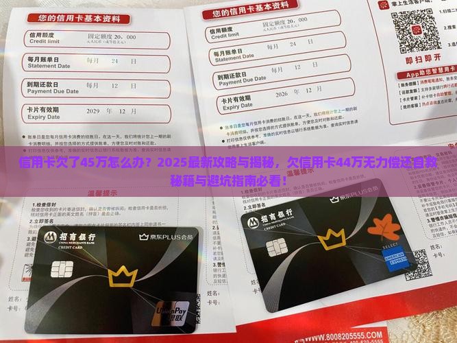 信用卡欠了45万怎么办