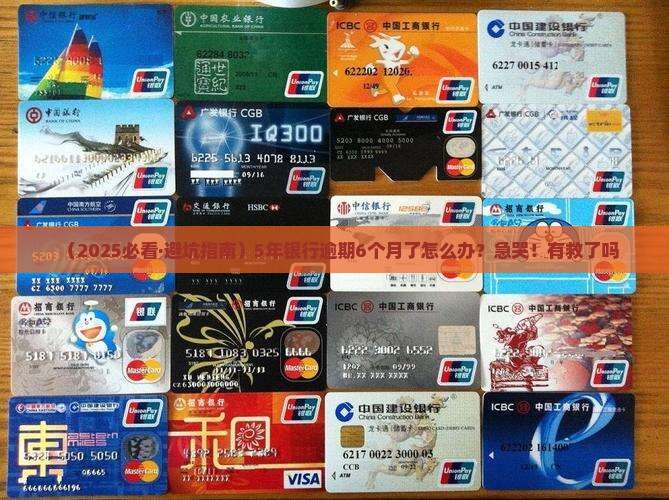 5年银行逾期6个月如何处理
