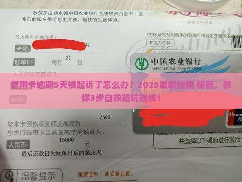 放心借逾期5天被起诉后如何应对