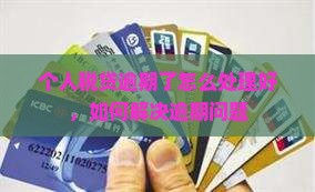 个人税贷逾期了怎么处理