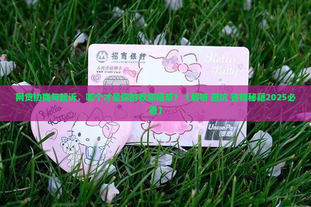 网贷主动协商与起诉后有什么区别