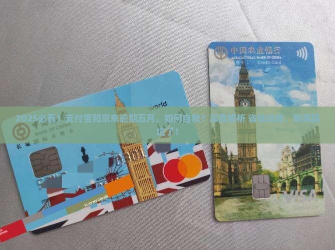 支付宝和京东逾期五月如何处理