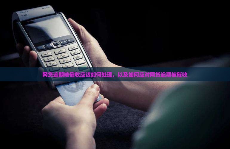 网贷逾期被催收应该如何处理